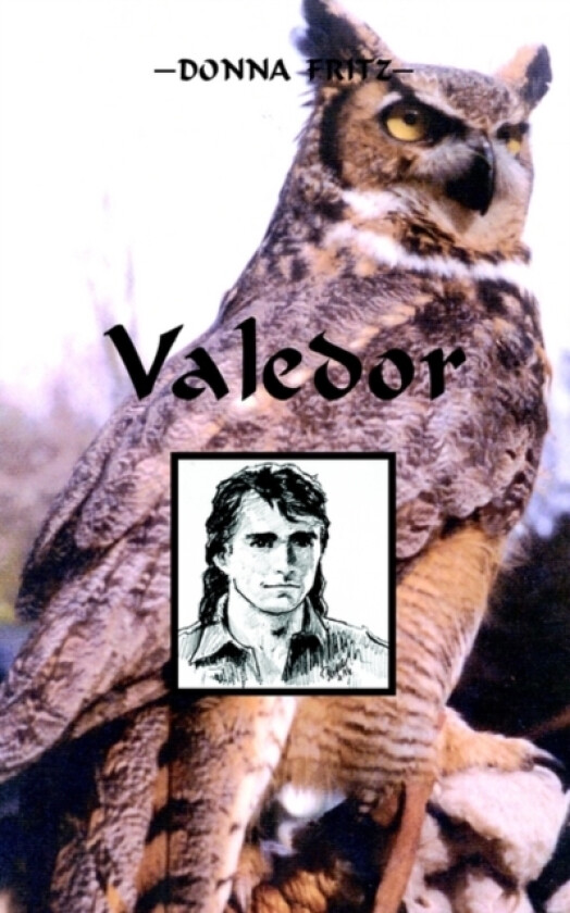 Valedor av Donna Fritz (Paperback)