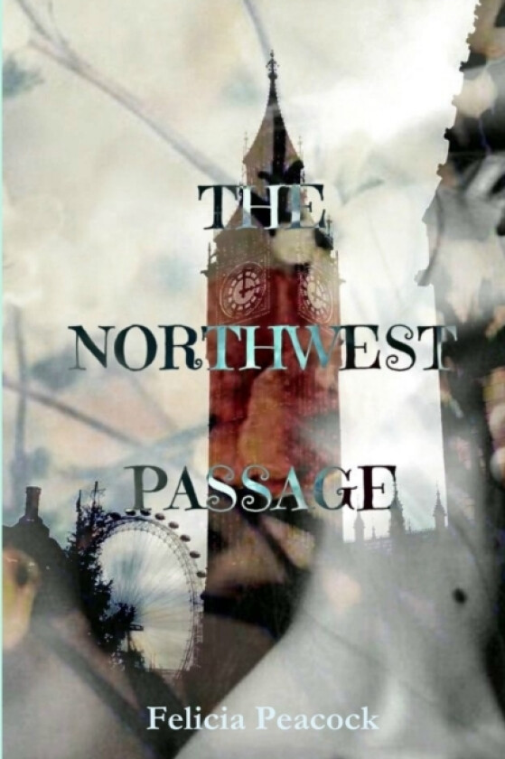 The Northwest Passage av Felicia Peacock (Paperback)