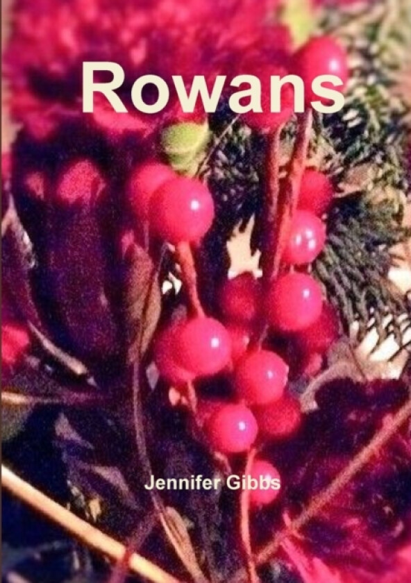 Rowans av Jennifer Gibbs (Paperback)