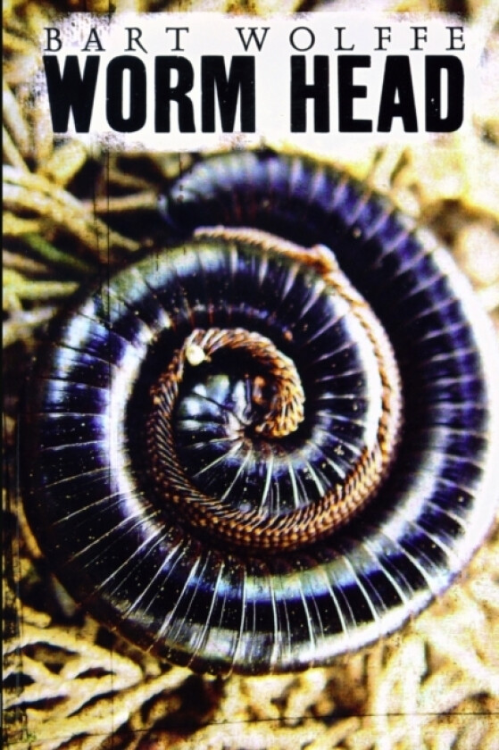Worm Head av Bart Wolffe (Paperback)