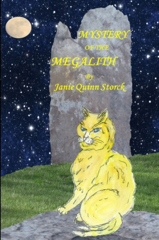 Mystery of the Megalith av Janie Quinn Storck (Paperback)