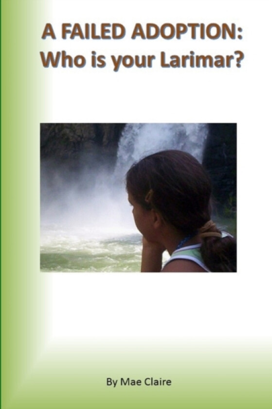 A Failed Adoption av Mae Claire (Paperback)