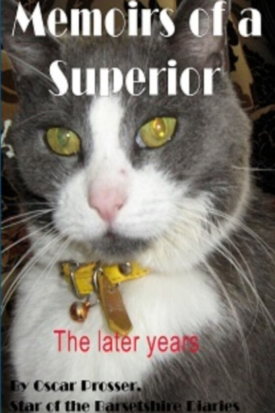 Memoirs of a Superior av Lord David Prosser (Paperback)