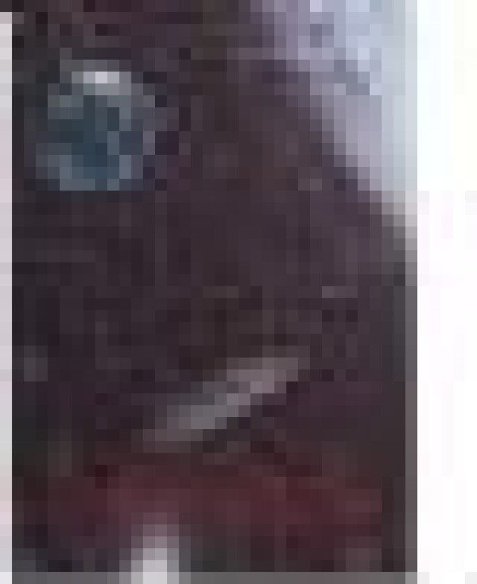 Det ukuelige liv   Finn Paludan Müller   Språk: Dansk