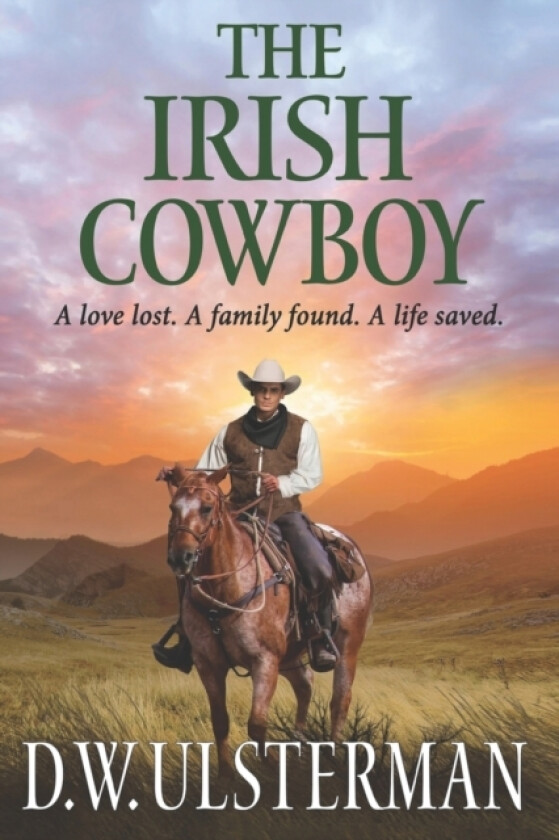 The Irish Cowboy av D W Ulsterman (Paperback)