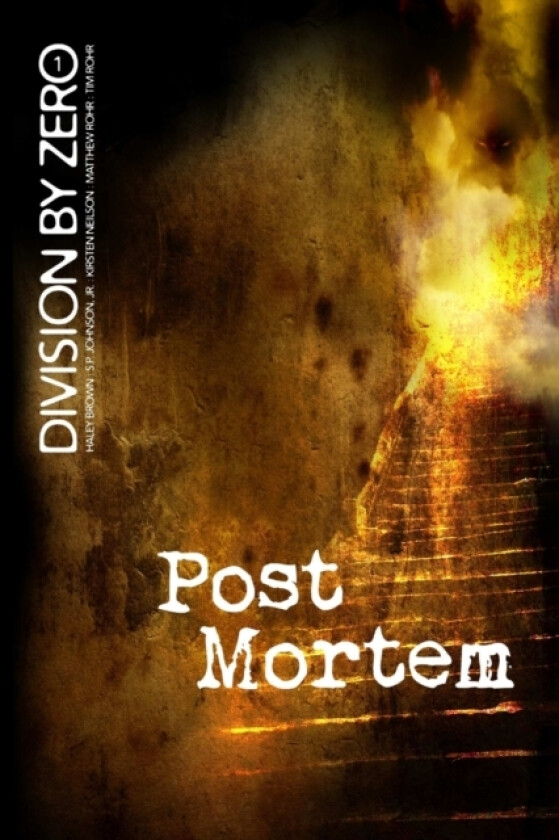 Division by Zero av Haley Brown, S P Jr Johnson, Kirsten Neilson (Paperback)