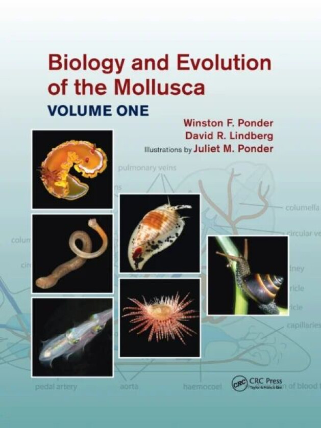 Biology and Evolution of the Mollusca, Volume 1 av Winston Frank Ponder, David R. (University of California USA) Lindberg, Juliet Mary Ponder