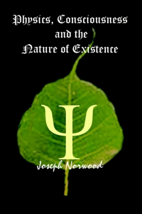 Physics, Consciousness and the Nature of Existence av Joseph Norwood (Paperback)