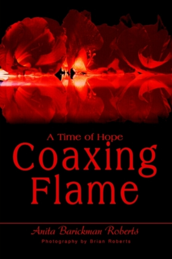 Coaxing Flame av Anita Barickman Roberts (Paperback)