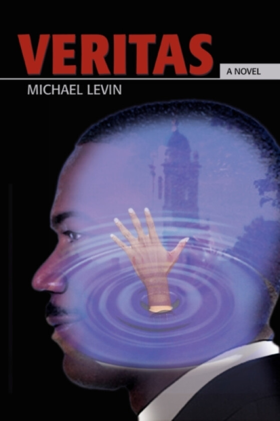 Veritas av Michael M.D. Levin (Paperback)