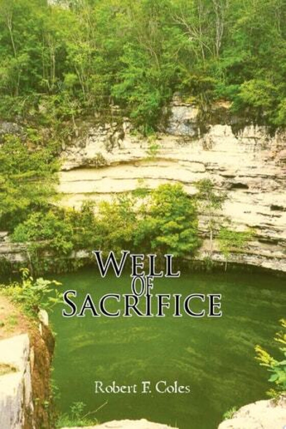 Well of Sacrifice av Robert F Coles (Paperback)