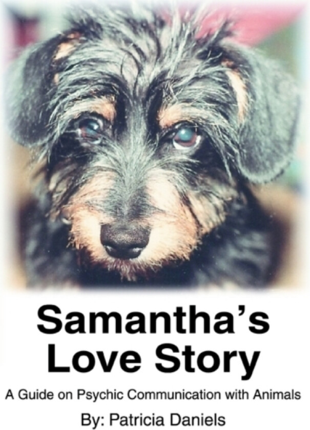 Samantha's Love Story av Patricia Daniels (Paperback)