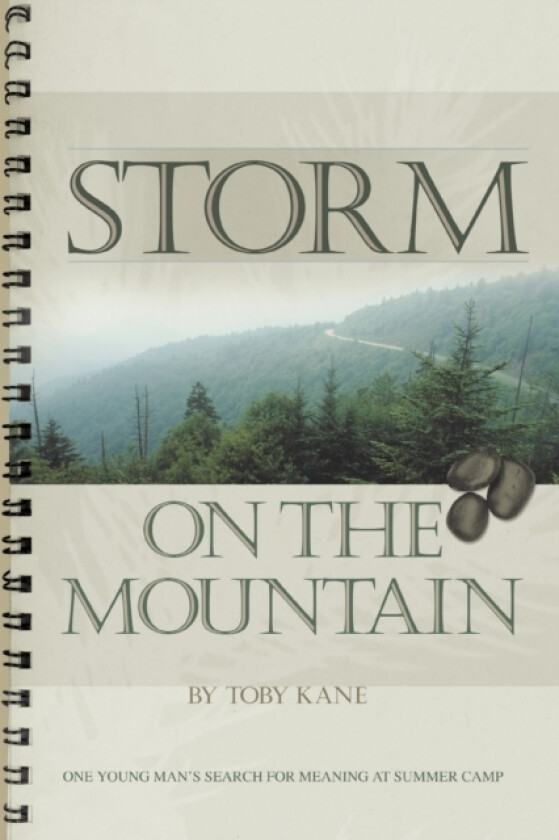 Storm on the Mountain av Toby Kane (Paperback)