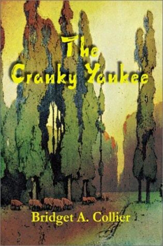 The Cranky Yankee av Bridget a Collier (Paperback)
