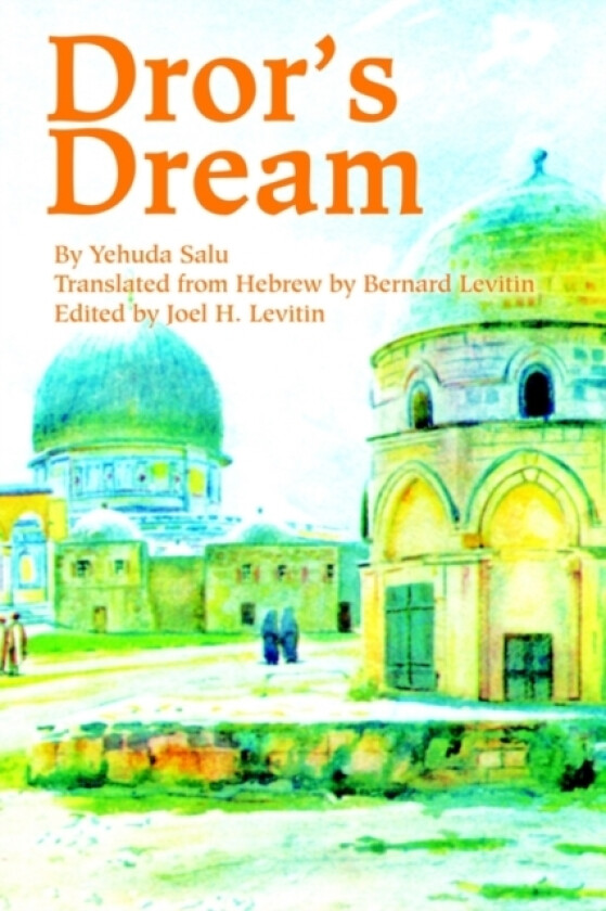 Dror's Dream av Martin A Levitin (Paperback)