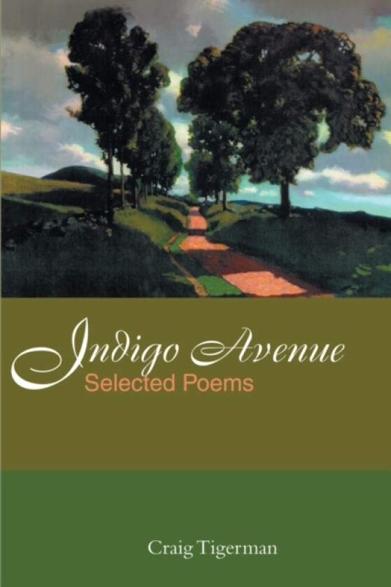 Indigo Avenue av Craig Tigerman (Paperback)