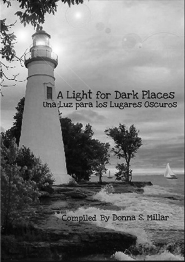 A Light for Dark Places av Donna Millar (Paperback)