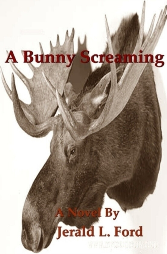 A Bunny Screaming av Jerry Ford (Paperback)
