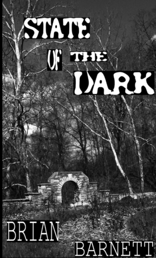 State of the Dark av Brian Barnett (Paperback)