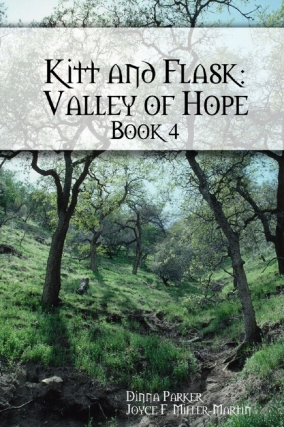Kitt and Flask: Valley of Hope av Dinna Parker, Joyce F. Miller-Martin (Paperback)