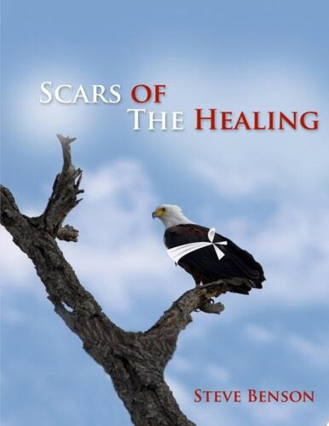 Scars of the Healing av Steve Benson (Paperback)
