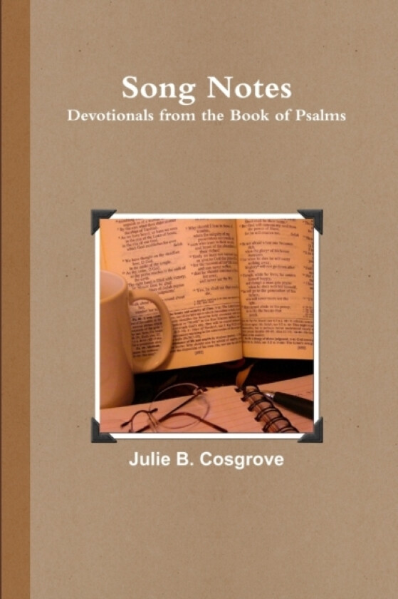 Song Notes av Julie B Cosgrove (Paperback)