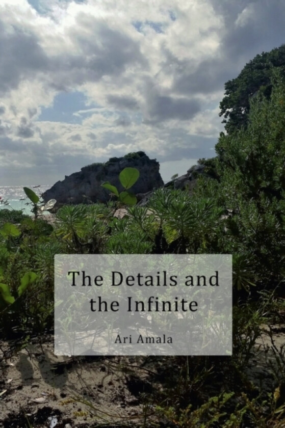The Details and the Infinite av Ari Amala (Paperback)