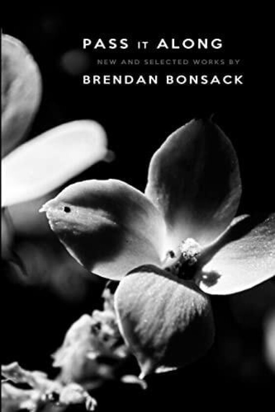 Pass it Along av Brendan Bonsack (Paperback)