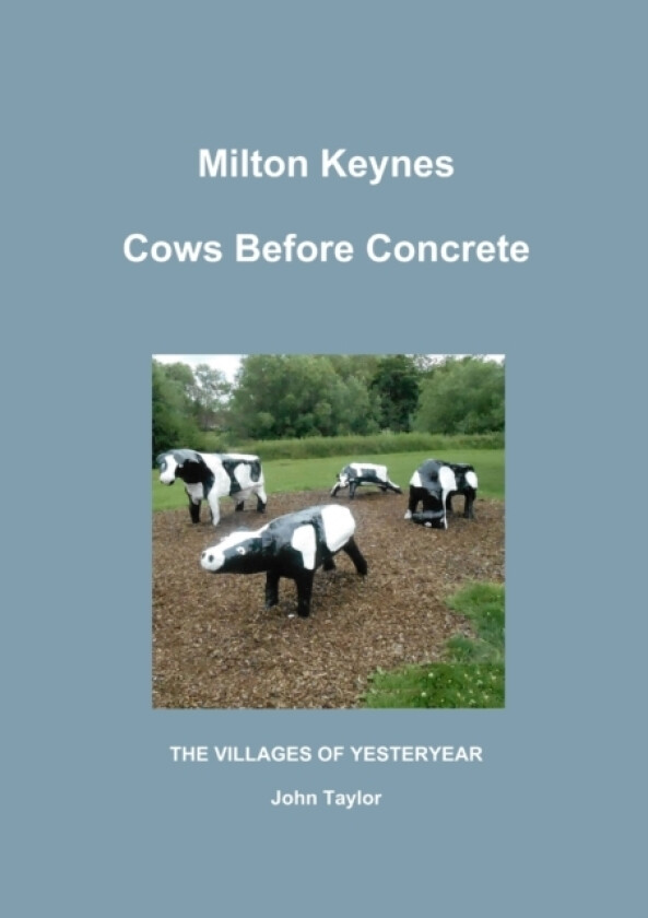 Cows Before Concrete av John Taylor (Paperback)