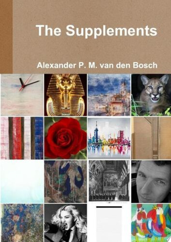 The Supplements av Alexander P M Van Den Bosch (Paperback)