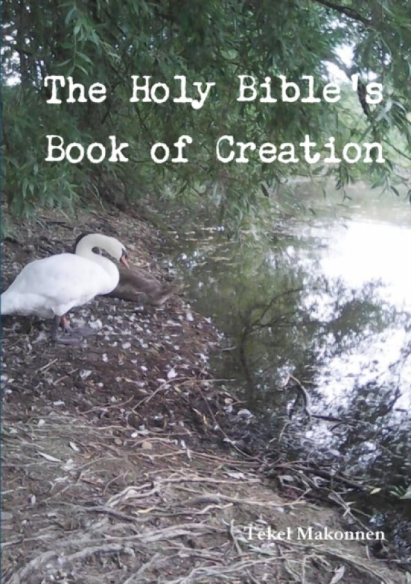 The Holy Bible's Book of Creation av Tekel Makonnen (Paperback)