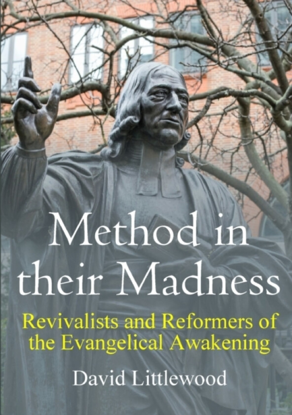 Method in their Madness av David Littlewood (Paperback)