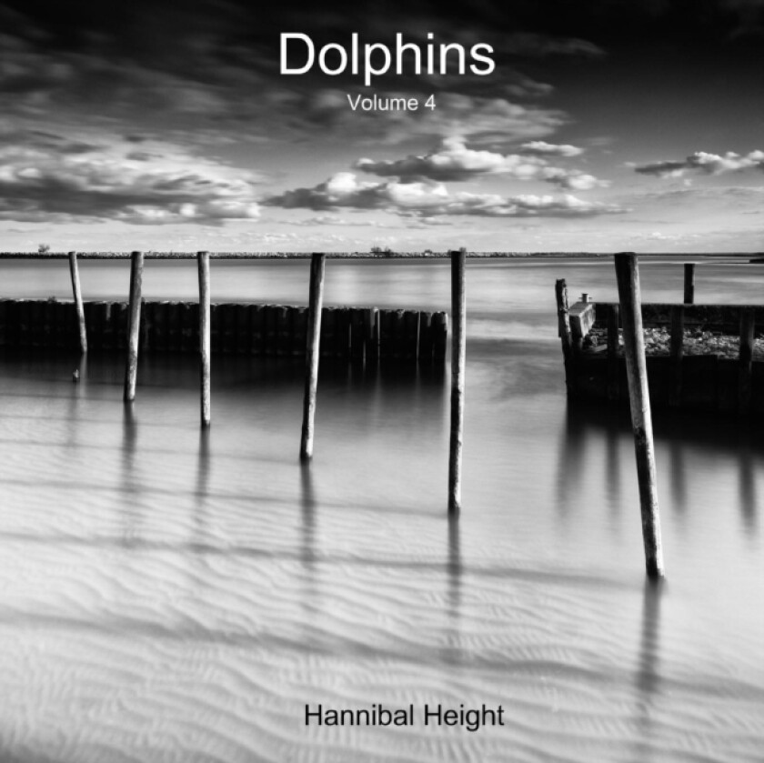 Dolphins - Volume 4 av Hannibal Height (Paperback)