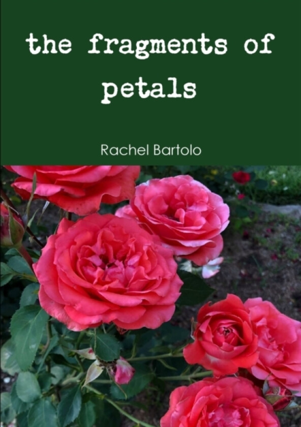 the fragments of petals av Rachel Bartolo (Paperback)
