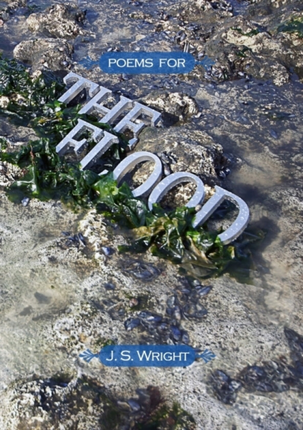 Poems for the Flood (Volume III) av Junior Research Fellow Julian Wright (Paperback)