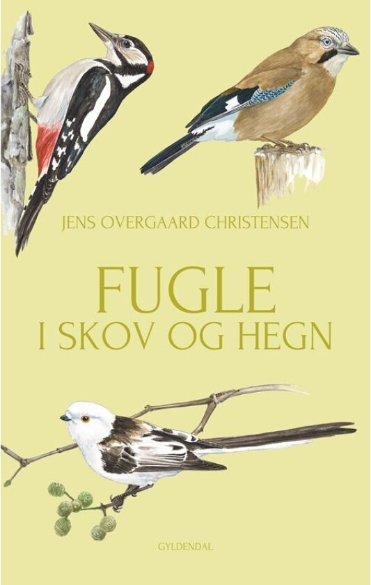 Fugler i skog og gjerder | Jens Overgaard Christensen | Språk: Dansk