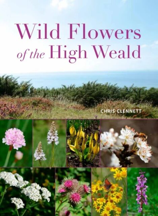 Wild Flowers of the High Weald av Chris Clennett