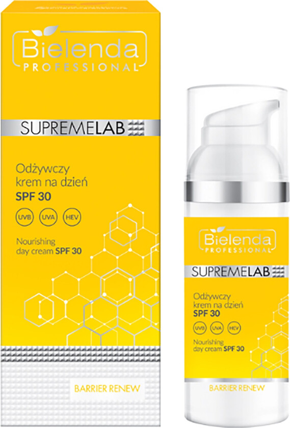 BARRIER RENEW Nourishing Day Cre