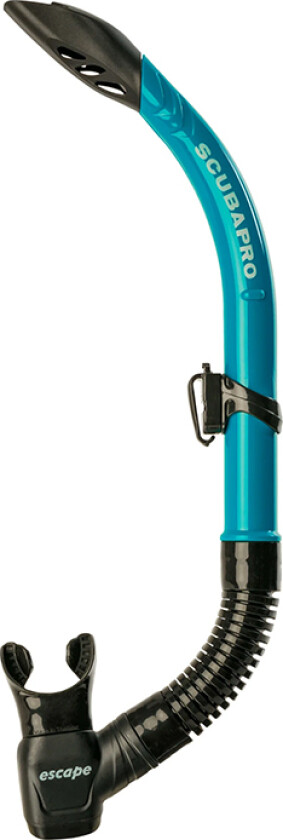 snorkel Escape turkis