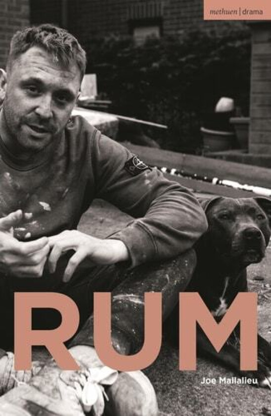 RUM av Joe Mallalieu (Paperback)
