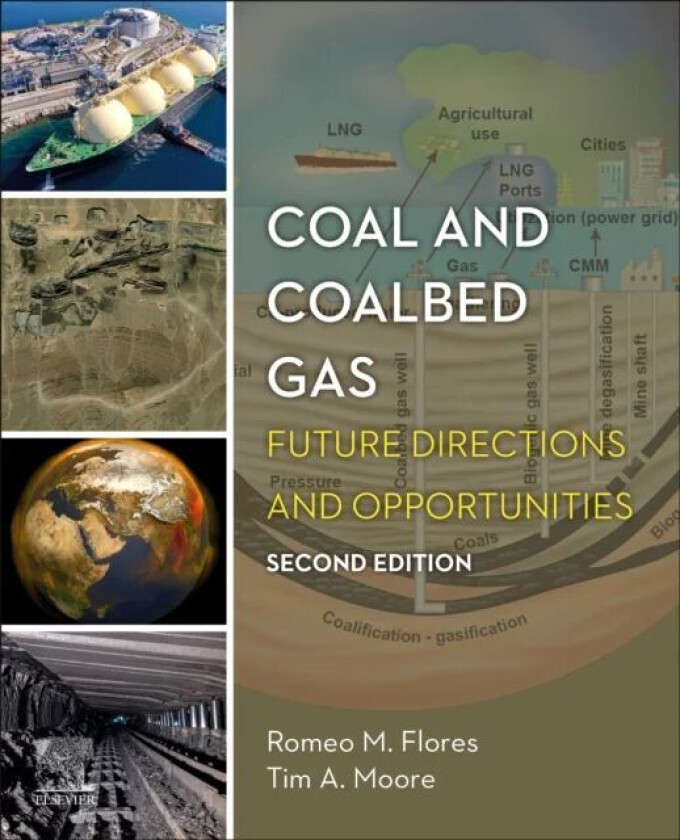 Coal And Coalbed Gas Av Romeo M. (Expert Gerson Lehrman Group (Glg) Inc. New York Ny Usa Flores, Geo.Sci.Tech Energy Resources Golden Co Usa.) Princip