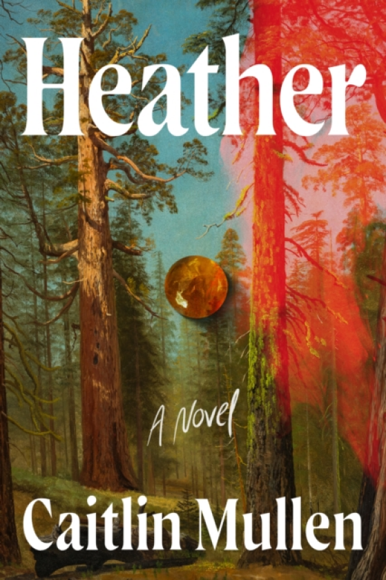Heather A Novel