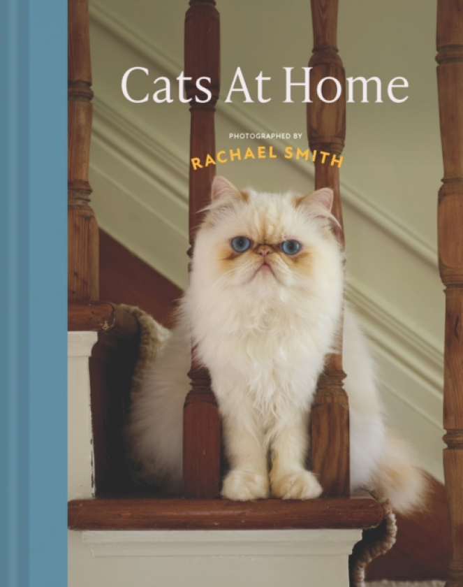 Cats at Home 50 fabulous felines and the houses they live in