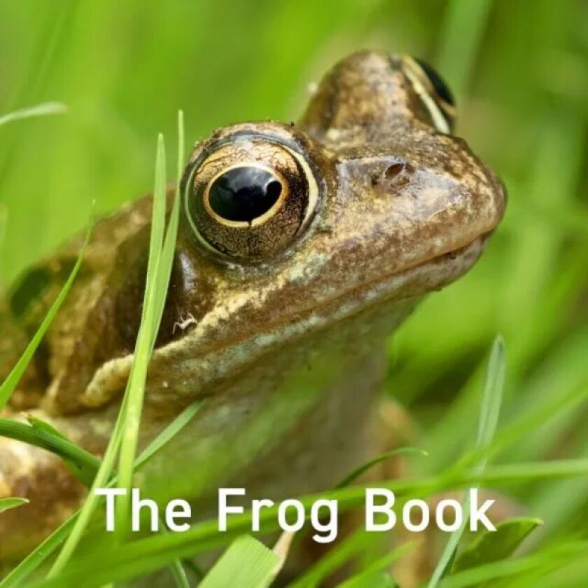 The Frog Book av Jo Byrne