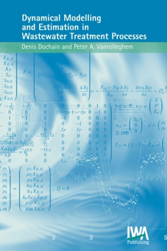 Dynamical Modelling & Estimation in Wastewater Treatment Processes av D. Dochain, Peter A. Vanrolleghem (Hardcover)