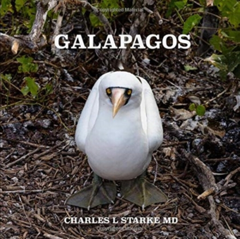 Galapagos av Charles L MD Starke (Paperback)