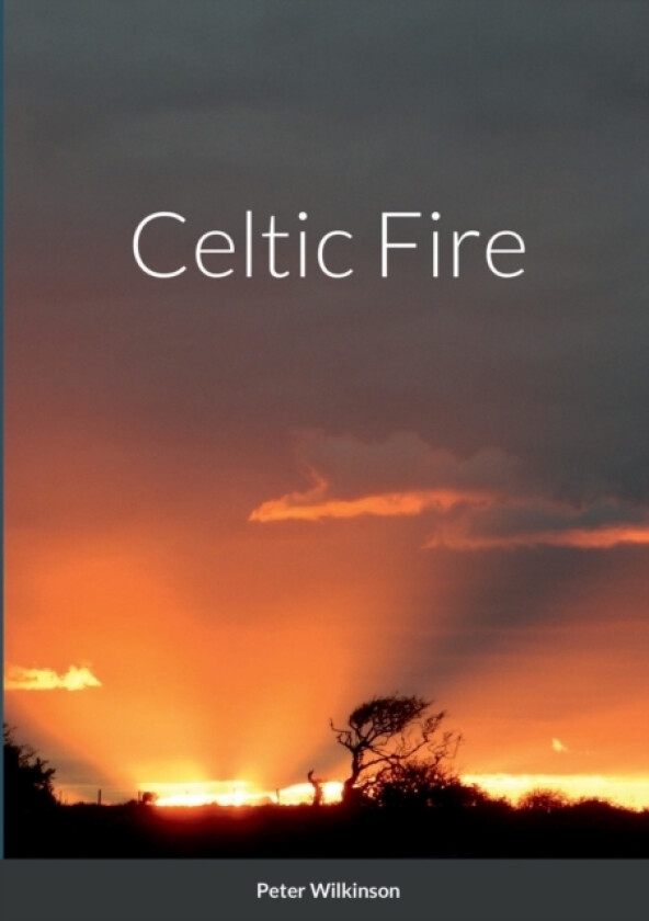 Celtic Fire av Peter Wilkinson (Paperback)