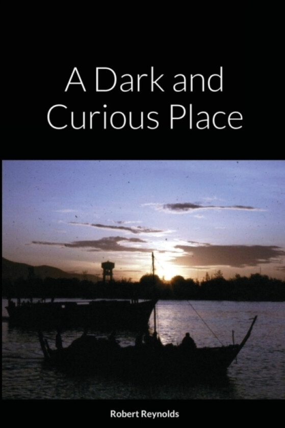 A Dark and Curious Place av Robert Reynolds (Paperback)