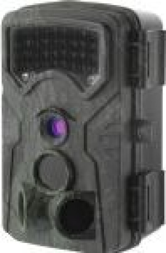 Renkforce RF-HC-550 Vildtkamera 13 Megapixel Low Glow LEDer Standardgrøn (silkemat)