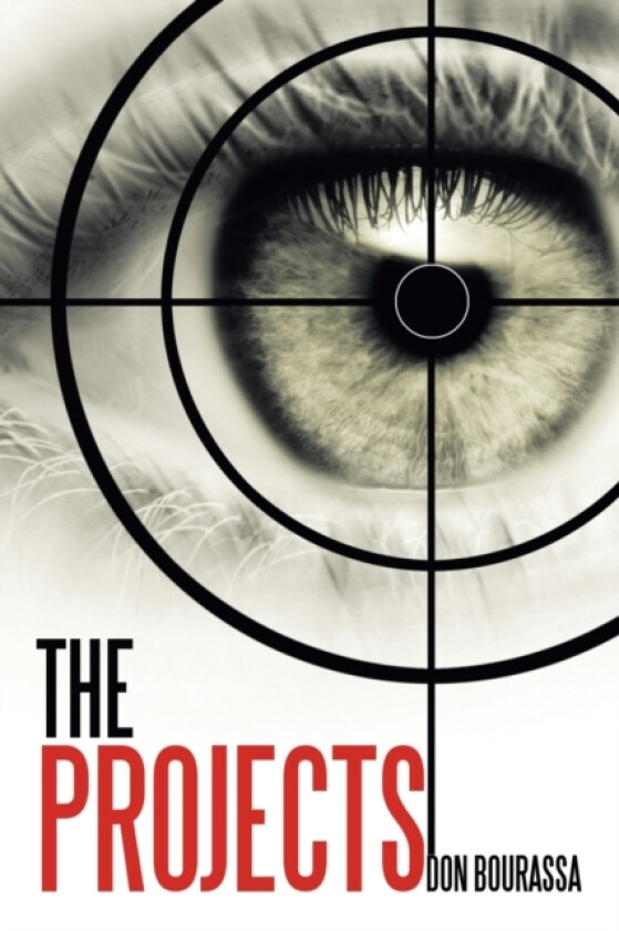 The Projects av Don Bourassa (Paperback)